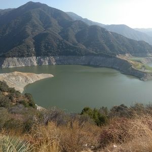 Meet your Posher, Mia